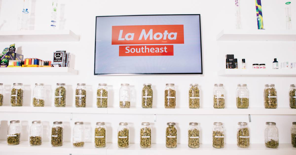 Edibles Company Sues Cannabis Giant La Mota, Alleging 0,000 Worth of Unpaid Product
