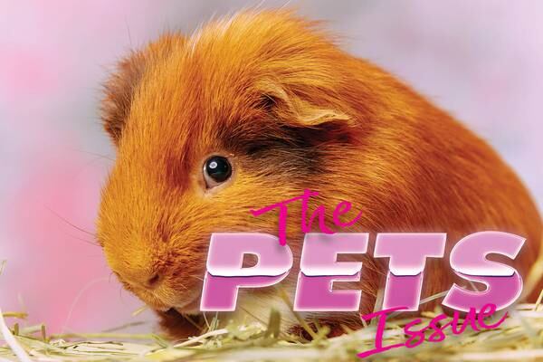 The Pets Issue 2023