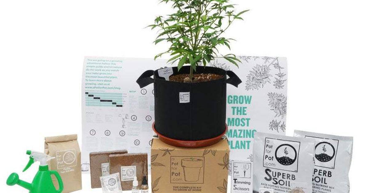 A Pot for Pot 2 Gallon Complete Indoor or Outdoor Growing Kit 