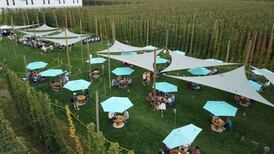 TopWire Hop Project, the Beer Garden in the Middle of a Hop Farm, Announces a Reopening Date