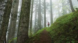 Mount Hood National Forest Is Proposing New or Increased Fees at More Than Two Dozen Sites