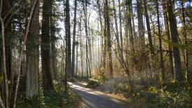 Hike of the Month: Tualatin Hills Nature Park