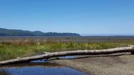 Three Lesser-Known Oregon Coast Hikes to Explore This Summer