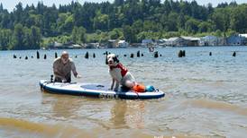 Much of the Willamette River That Runs Through Portland Is Now Toxic to Pets