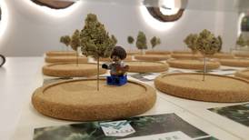 Want to Know What Strain Is on Sale at Virtue Supply Company? Look for Tiny Bob Ross