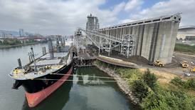 Second Cargo Ship Arrives at Grain Terminal Next to the Steel Bridge and Takes on Tons of Shredded Tires