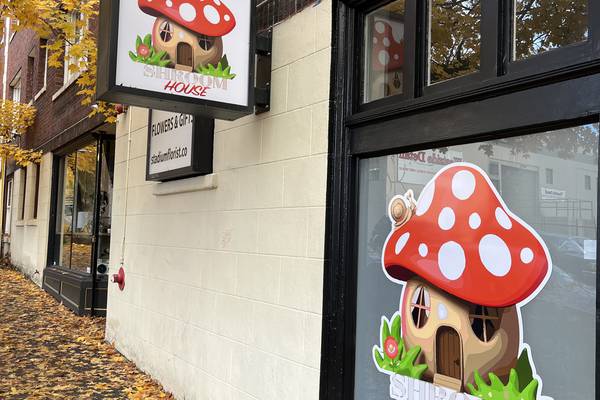 Shroom House on Burnside Sells Psychedelic Mushrooms at Retail, No Guide Necessary
