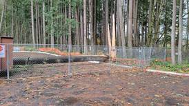 Portland Switches to Groundwater Supply After Tree Falls on Water Treatment Building