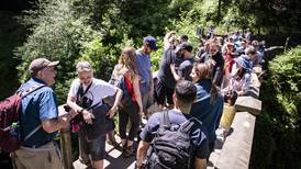 Planning to Visit Multnomah Falls This Summer? You’ll Need Reservations.