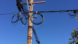 Big Coils of Extra Lines Are Hanging Off Some Power Poles Around Portland. What Are They For?