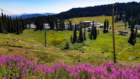 Mt. Hood Meadows Will Reopen for Summer Activities This Week