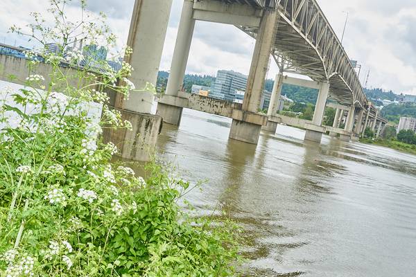 Plans for an Oft-Delayed Drinking Water Pipeline Under the Willamette Have Quietly Changed