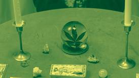 Here Are Our Predictions for the Year Ahead for Both Cannabusinesses and Consumers