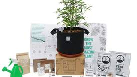 At-home Grow Kits That Teach Cannabis Farming Skills and Deliver Hella Weed by the End of Winter